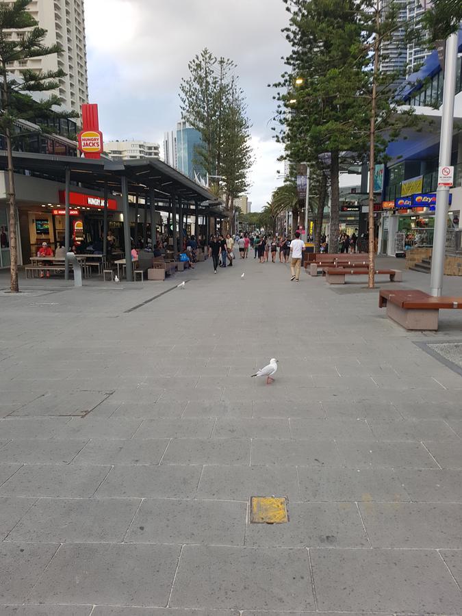 The Sands Surfers Paradise Εξωτερικό φωτογραφία